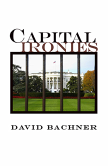 Cover of Capital Ironies