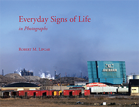 Cover of Everyday Signs of Life