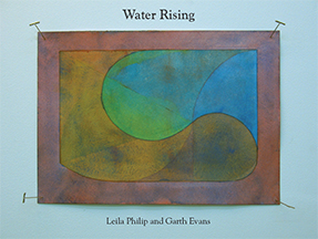 Cover of Water Rising